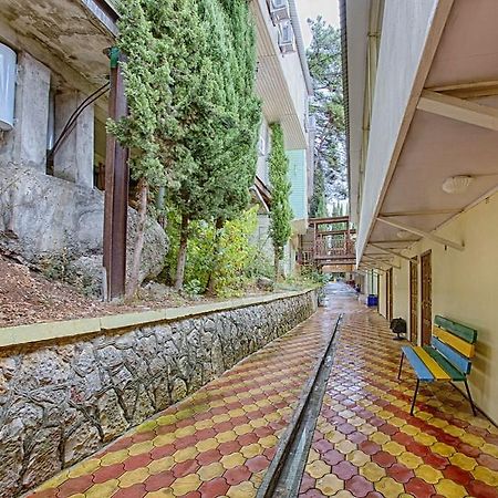 Pansionat Solnechniy Gagra Dış mekan fotoğraf